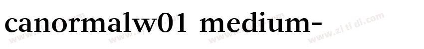 canormalw01 medium字体转换
